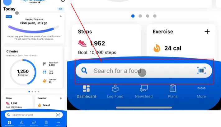Track Food and Calories in MyFitnessPal